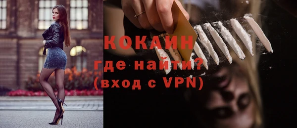 дживик Пестово