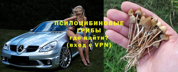 герыч Покровск