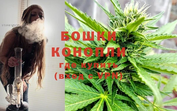 прущая мука Пересвет