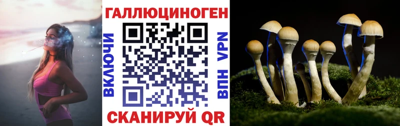 Псилоцибиновые грибы Psilocybe  Купить где  Дмитров 